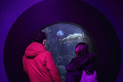 Rencontre avec Saskia de Ville