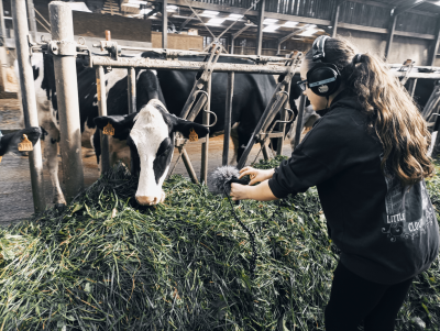 À l'écoute, des histoires agricoles avec Julien Hindré (2/2)