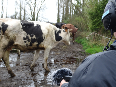 À l'écoute, des histoires agricoles avec Valérie Lazennec (2/2)
