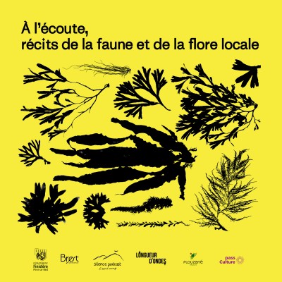 À l'écoute, récits de la faune et de la flore locale avec Thomas Burel
