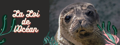 La loi de l’océan