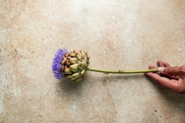 Le cœur d’artichaut de Radio Ciboulot