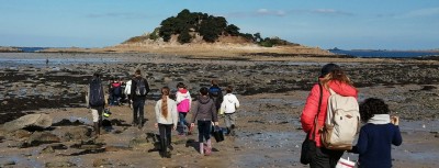 Vous avez dit… Bigorneau ?